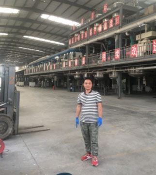 蔡工河南漢莎涂料技術服務